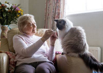 The 11 Best Companion Pets for Seniors
